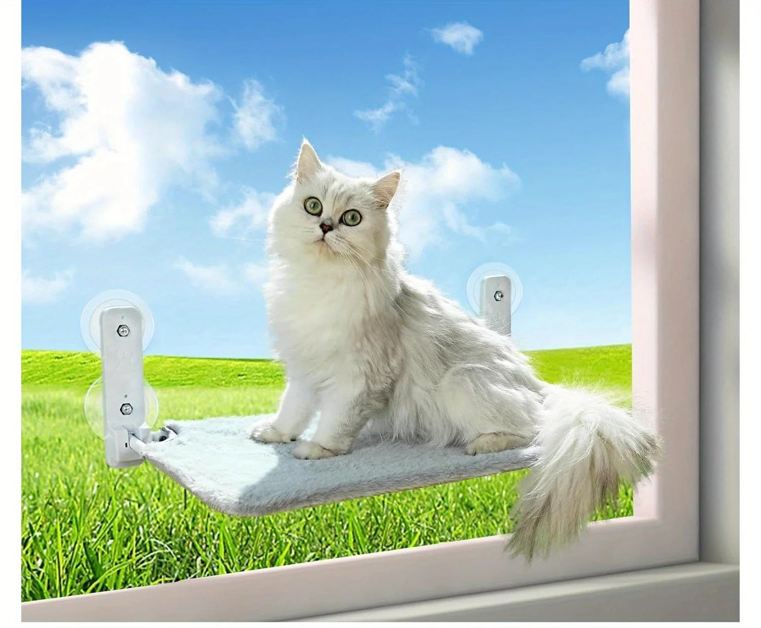 A curious cat playing on a window hammock, with a scenic outdoor view. Cat Hammocks for the Window.