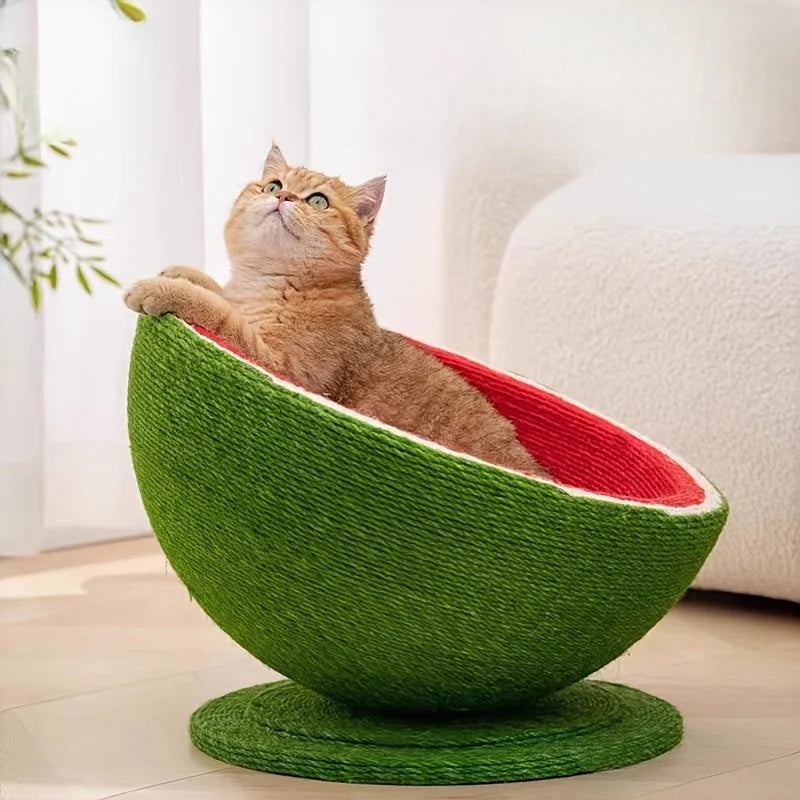 A playful cat perched on a cute cat scratching post shaped like a watermelon, combining fun design with comfort for your feline friend.