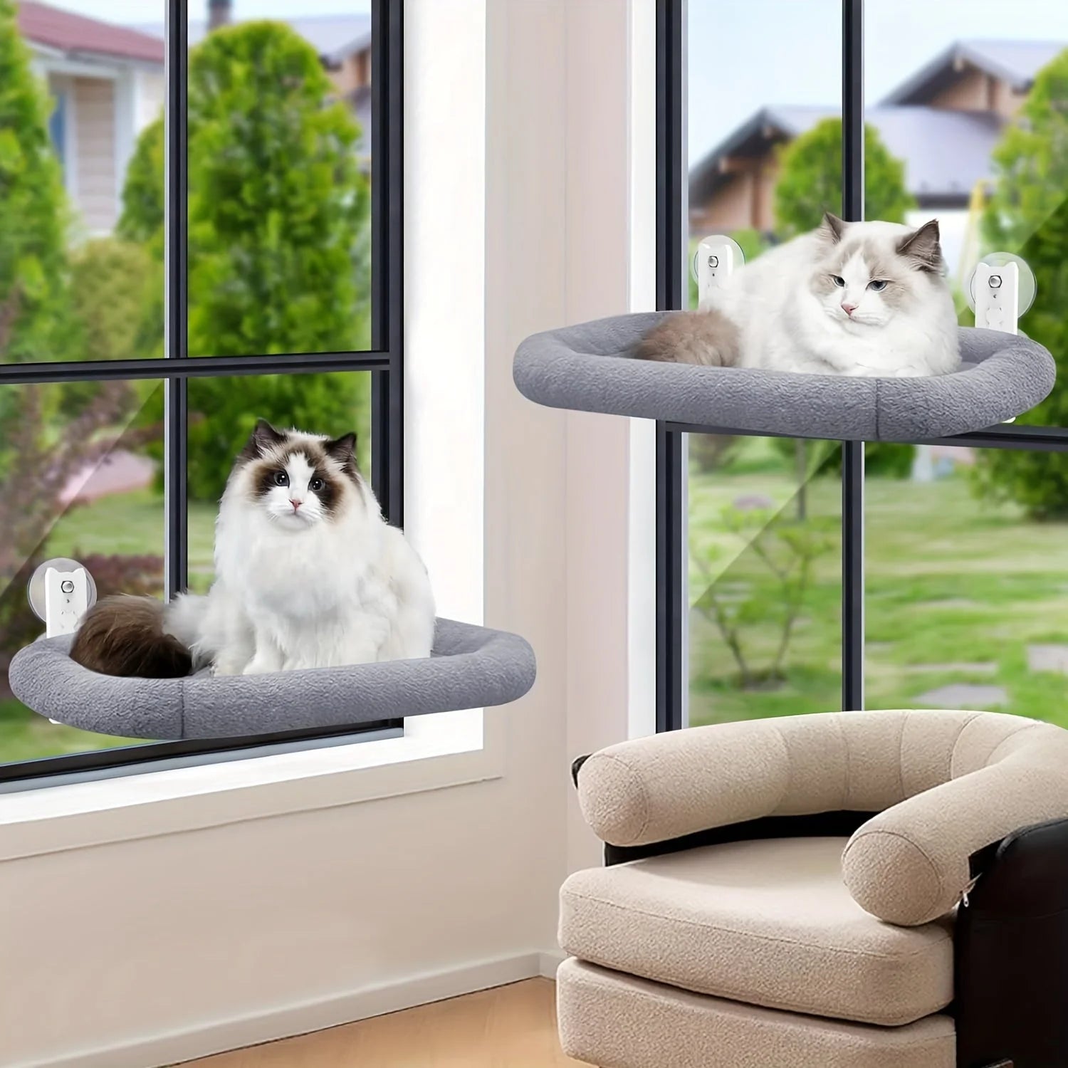 Two cats comfortably resting on separate Best Cat Window Perches, offering individual lounging space with scenic views.