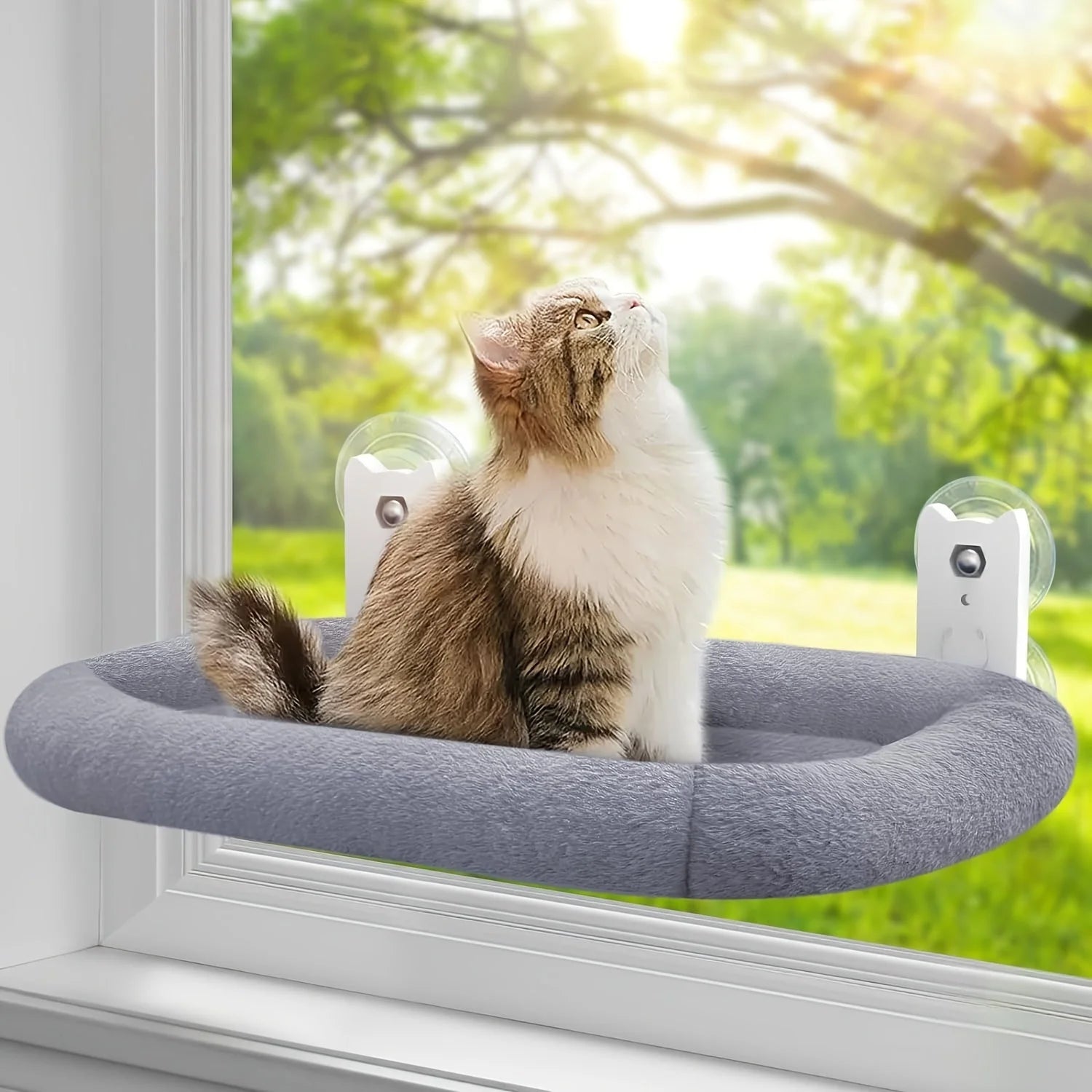 A cat enjoying a peaceful moment on the Best Cat Window Perch, offering a comfy spot with a great outdoor view.