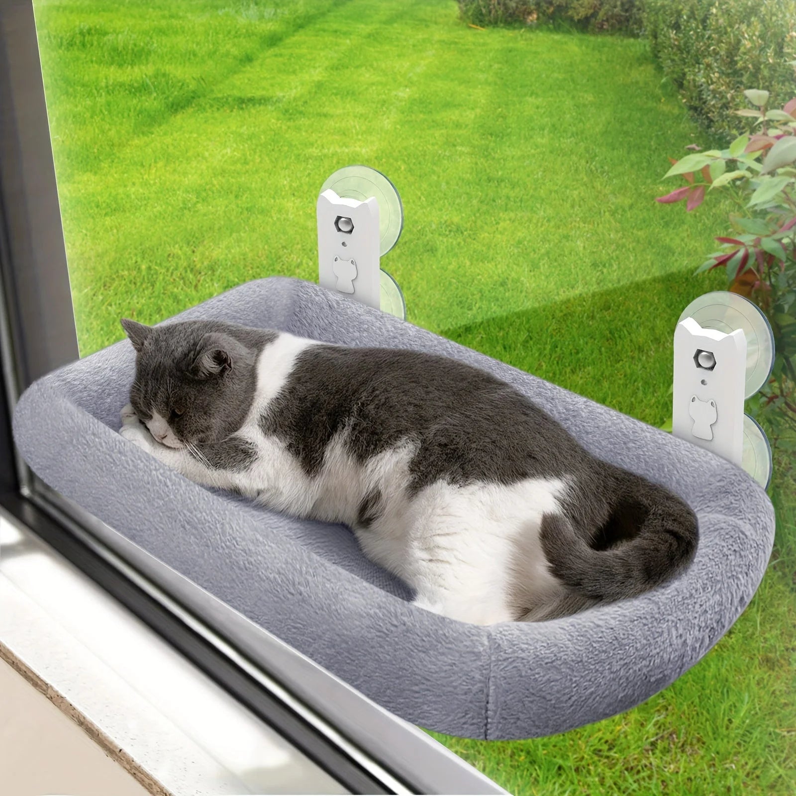 A content cat peacefully sleeping on the Best Cat Window Perch, soaking up the fresh outdoor air.