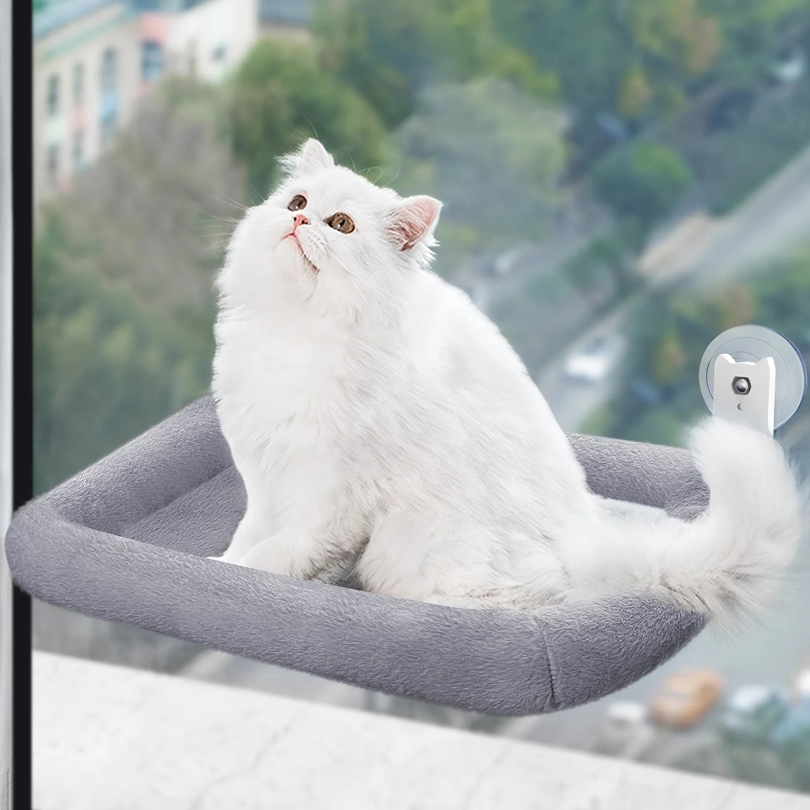 A fluffy white cat lounging on the Best Cat Window Perch, enjoying the stunning outdoor scenery.