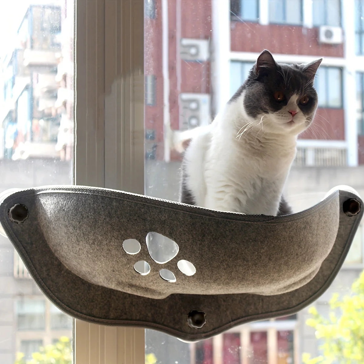 A black and white cat stands alert in a grey felt Window Perch for Cats, mounted on a window overlooking a busy.
