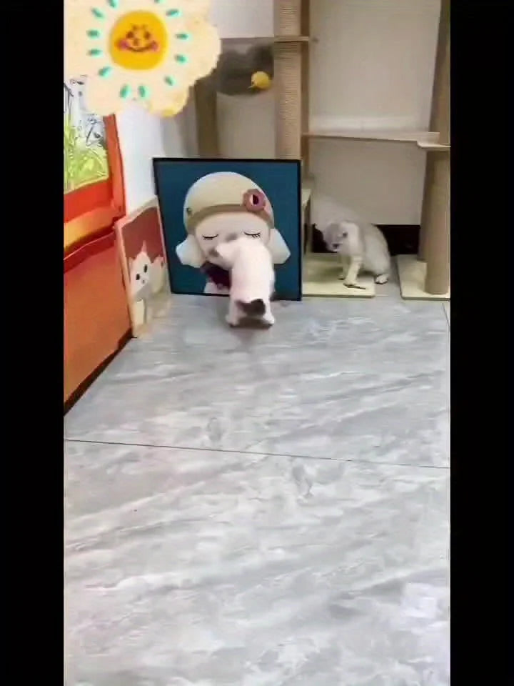 Two kittens exploring a cat-themed room while interacting with their favorite mouse toy – playtime made fun.