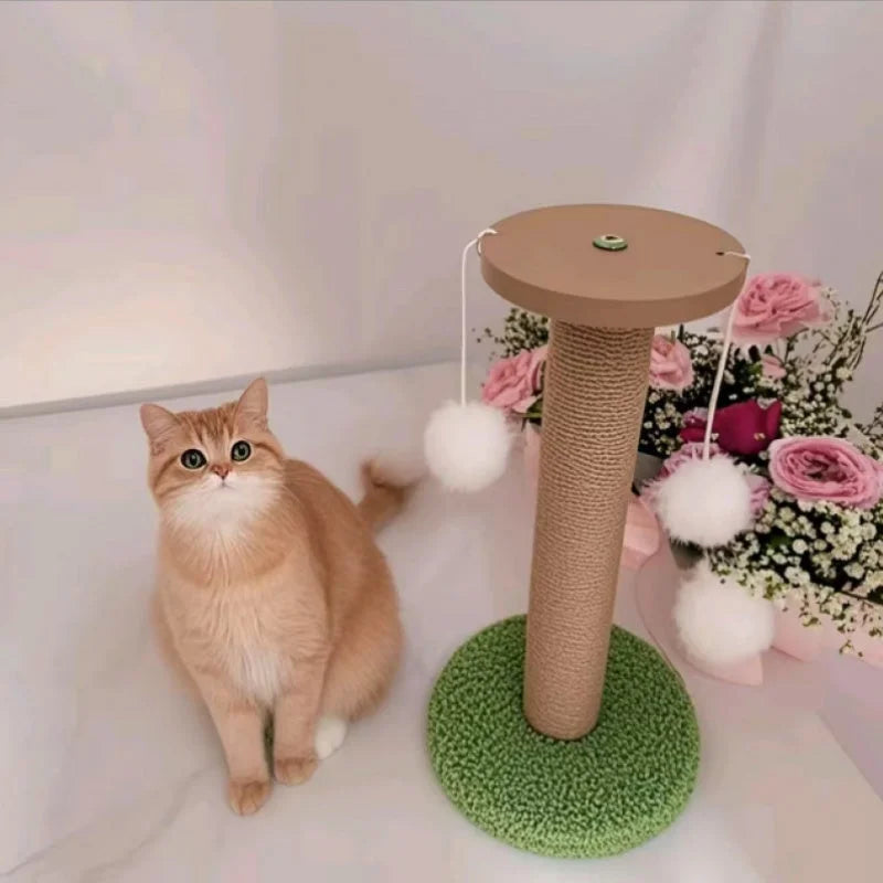 A cute cat sitting next to a cat condo scratching post with hanging fluffy toys, surrounded by floral decorations.