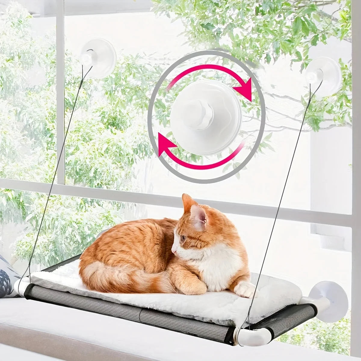 Cat lounging comfortably on a suction-cup window bed, enjoying a sunny view. The perfect Cat Window Bed for relaxation.
