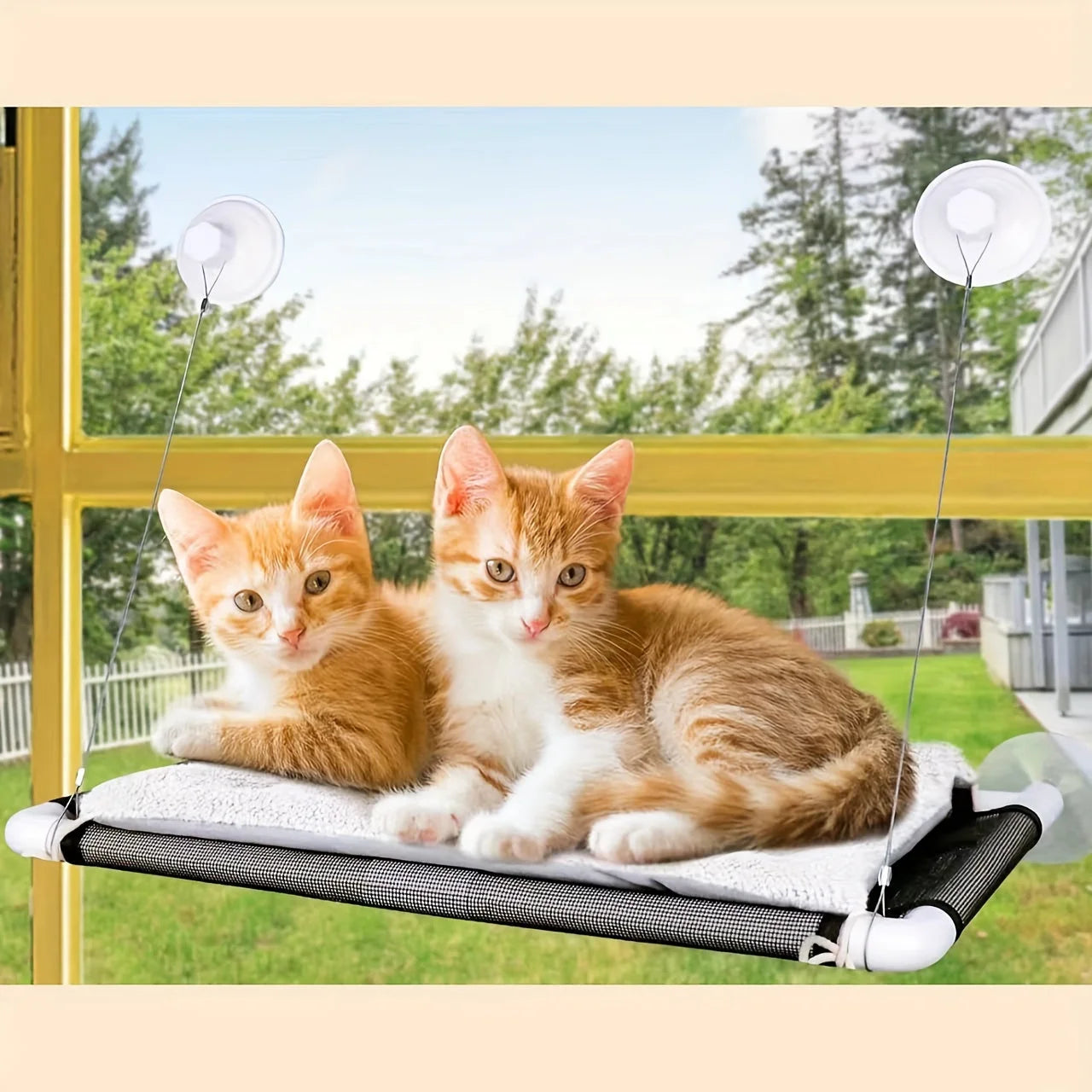 Cat peacefully resting in a comfortable Cat Window Bed with secure suction cups, perfect for window lounging.