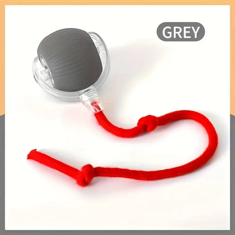 Grey cat rolling ball toy with red rope for interactive play.