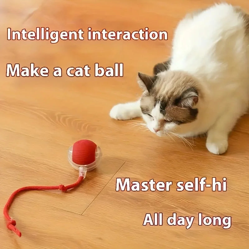 Red cat rolling ball toy with replaceable housing and bite resistance for long-lasting fun.