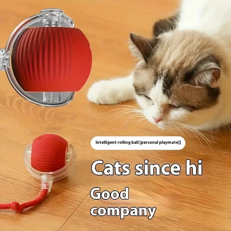 Cat playing with the red cat rolling ball toy, a personal playmate.