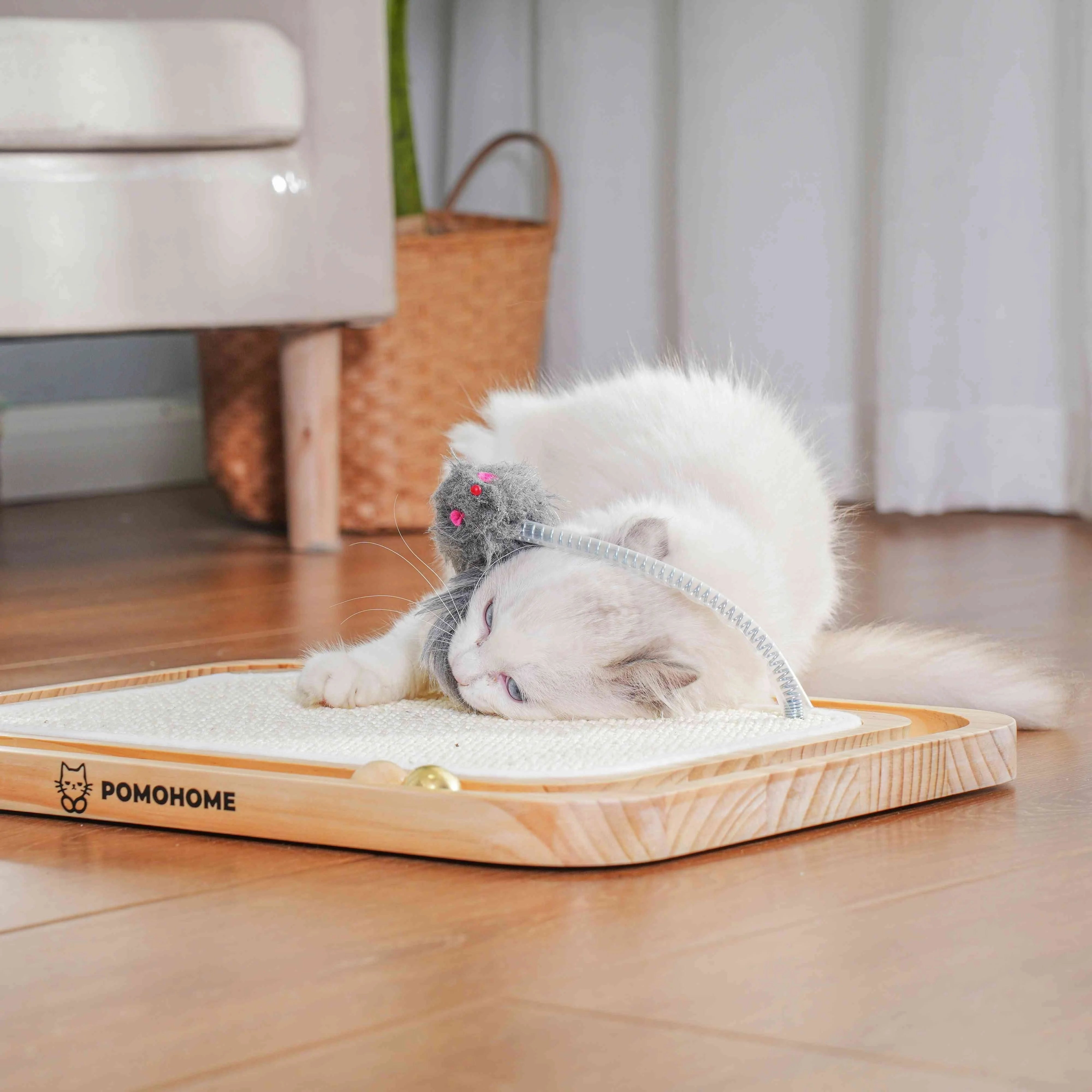 A relaxed cat enjoying playtime, laying down and interacting with the cat teaser of a cat scratching post for large cats.