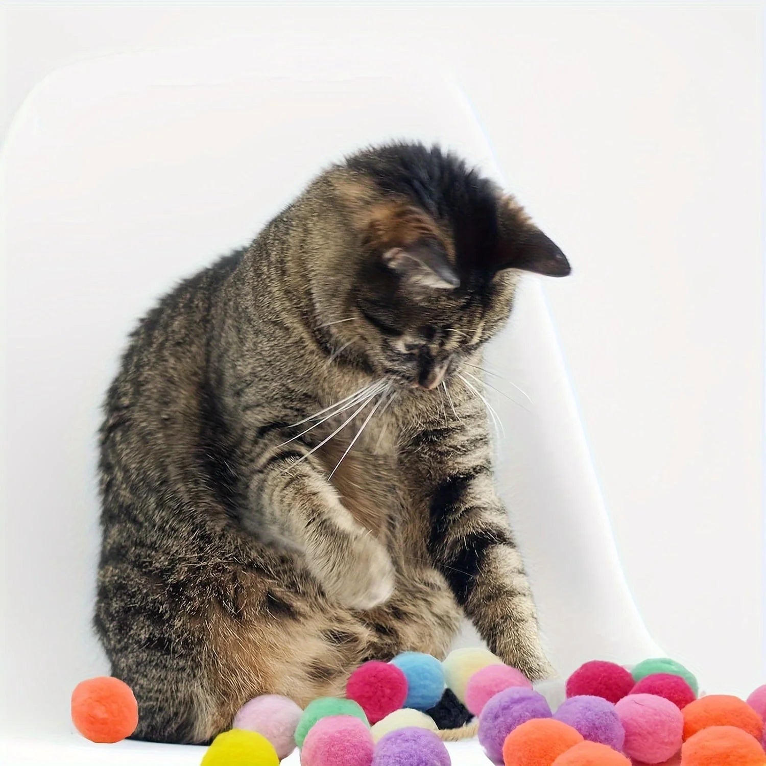 Tabby cat playing with colorful pom-poms from the cat toys for kittens set.