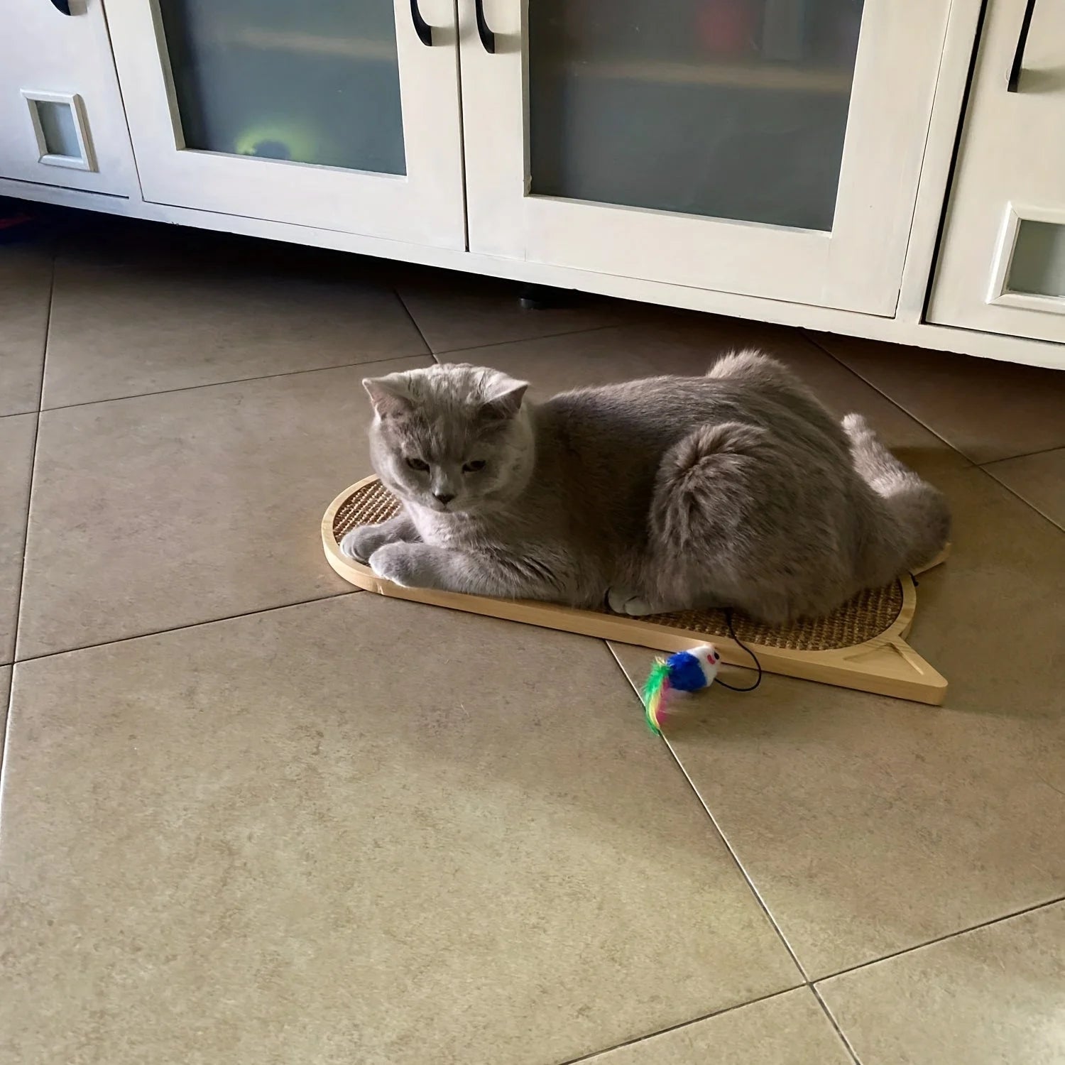 Gray cat relaxing on a cat wall scratching post lying flat on tiled flooring, with a colorful toy nearby.