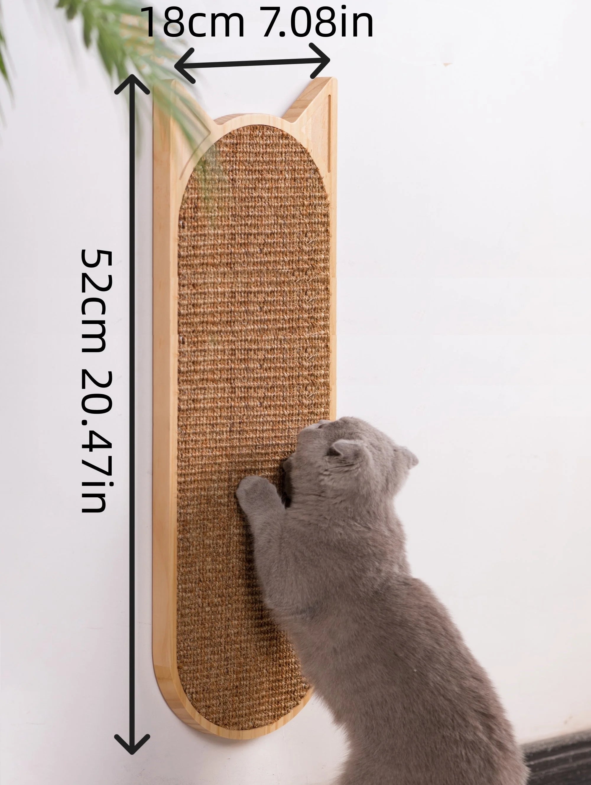 Gray cat scratching a large-sized cat wall scratching post, with dimensions marked as 52 cm tall and 18 cm wide.