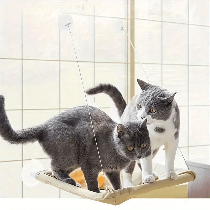 Two large cats playing together on a sturdy and comfortable Cat Window Perch for Large Cats with strong suction cups.