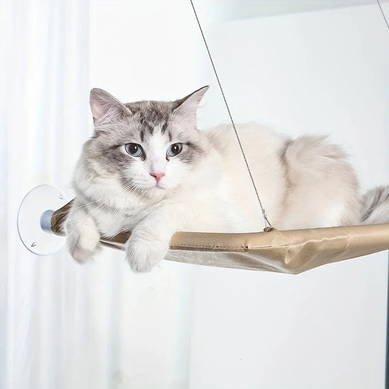 A cat peacefully relaxing on a Cat Window Sill Perch, offering a comfortable, elevated resting spot for your pet.
