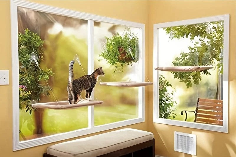 A cat enjoying a Cat Window Sill Perch with a view of the outdoors, offering comfort and relaxation for your feline friend.