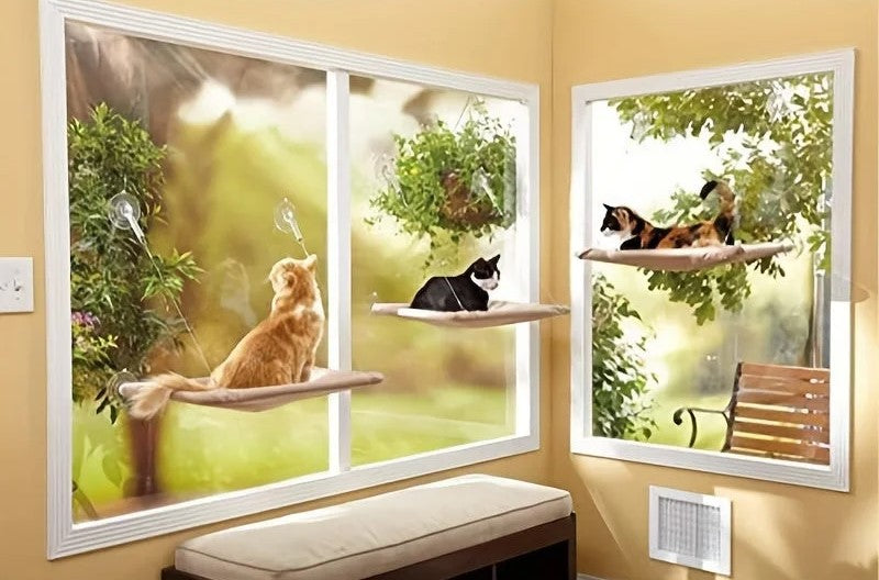 Multiple cats lounging on the Cat Window Sill Perch, enjoying the sun and outdoors while resting comfortably.