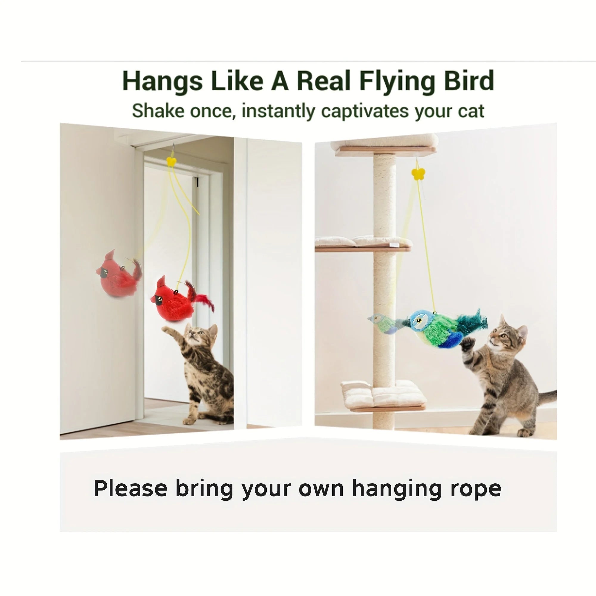 Chirping bird cat toy hanging and fluttering like a real bird to entertain cats.