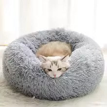 Cute Cat Beds