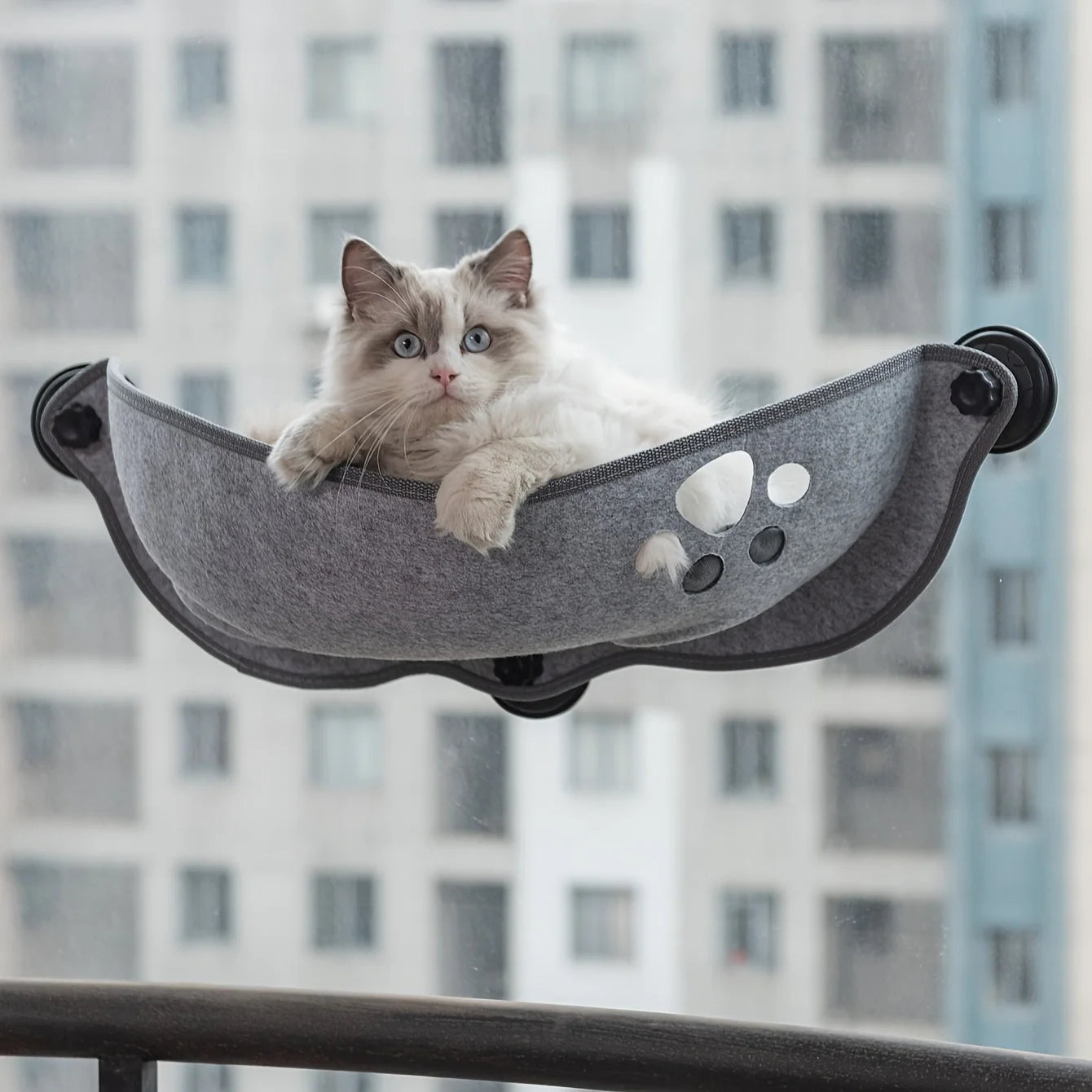 A fluffy grey and white cat with blue eyes relaxes on a grey felt Window Perch for Cats, attached to a window in a high-rise.