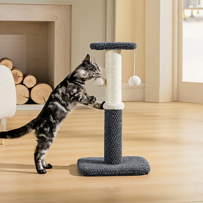 Playful kitten interacting with a gray cat scratch post, exploring the attached pompom toys.