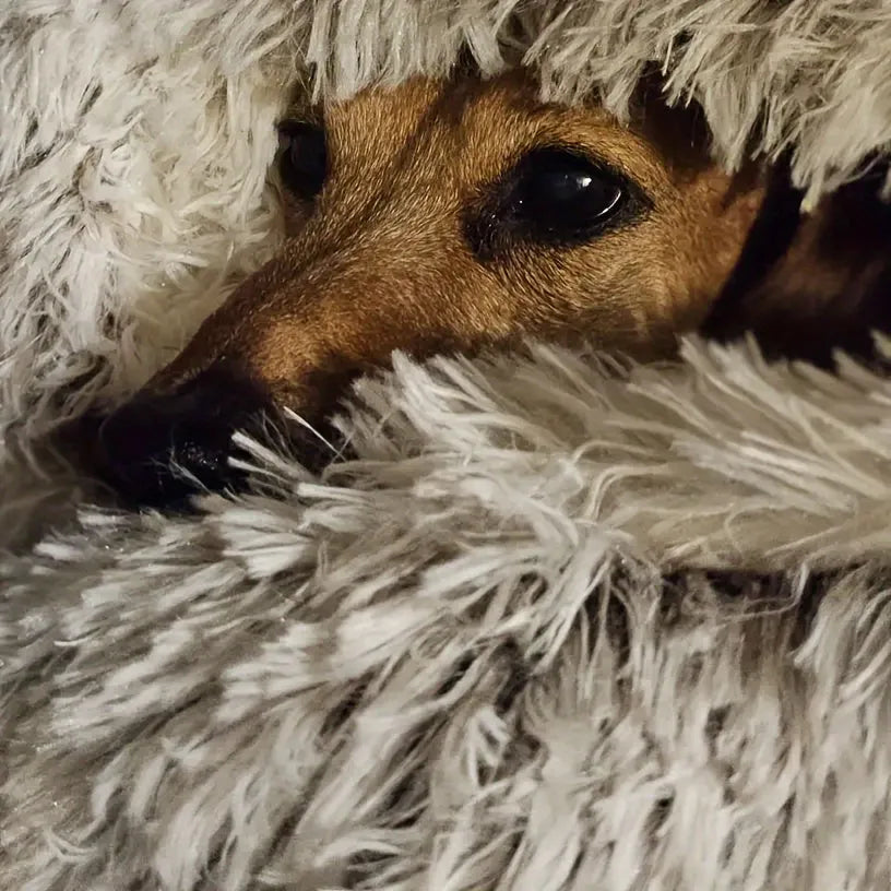 Luxury Soft Pink Great Cat Bed for Ultimate Comfort