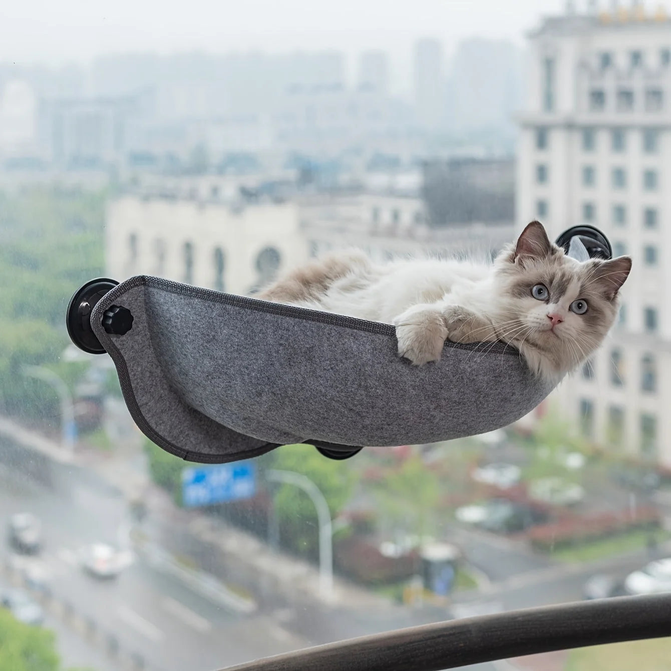 A grey and white cat rests peacefully on a grey felt Window Perch for Cats, mounted securely on a sunny window sill. at door.