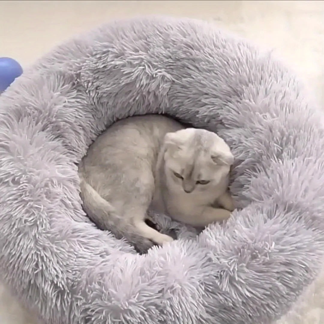 A white cat relaxing in a grey fluffy cat bed, providing a cozy and secure space for restful naps. Cute Cat Beds for ultimate comfort.