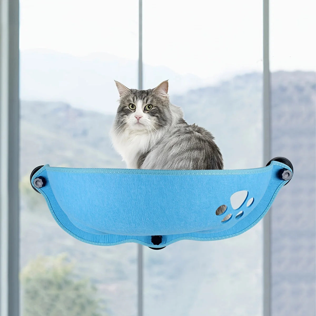 A long-haired grey cat sits calmly in a blue felt Window Perch for Cats, fixed to a bright window with clear sky by the bay.