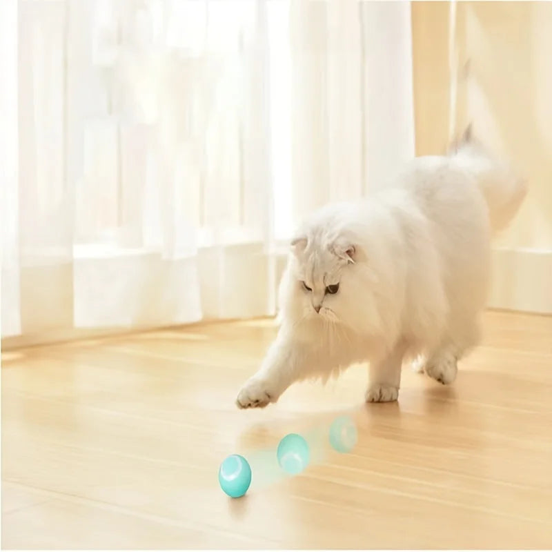 White cat playing with rolling ball cat toy, providing interactive fun for cats
