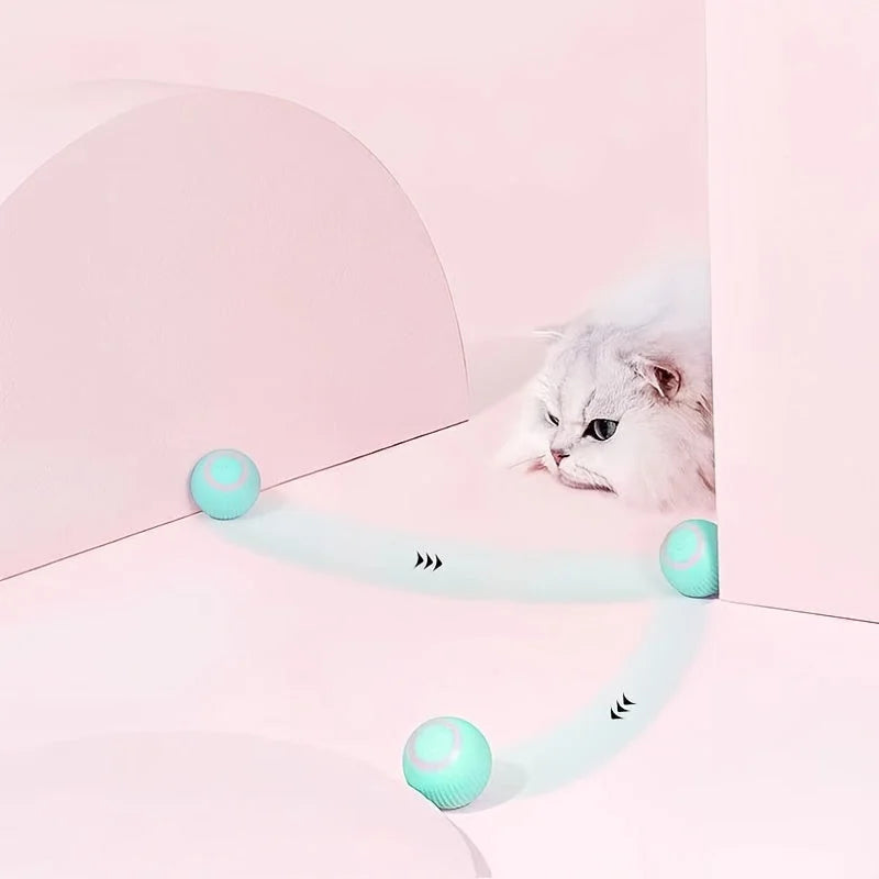Cat chasing the rolling ball cat toy, designed to keep pets active and entertained