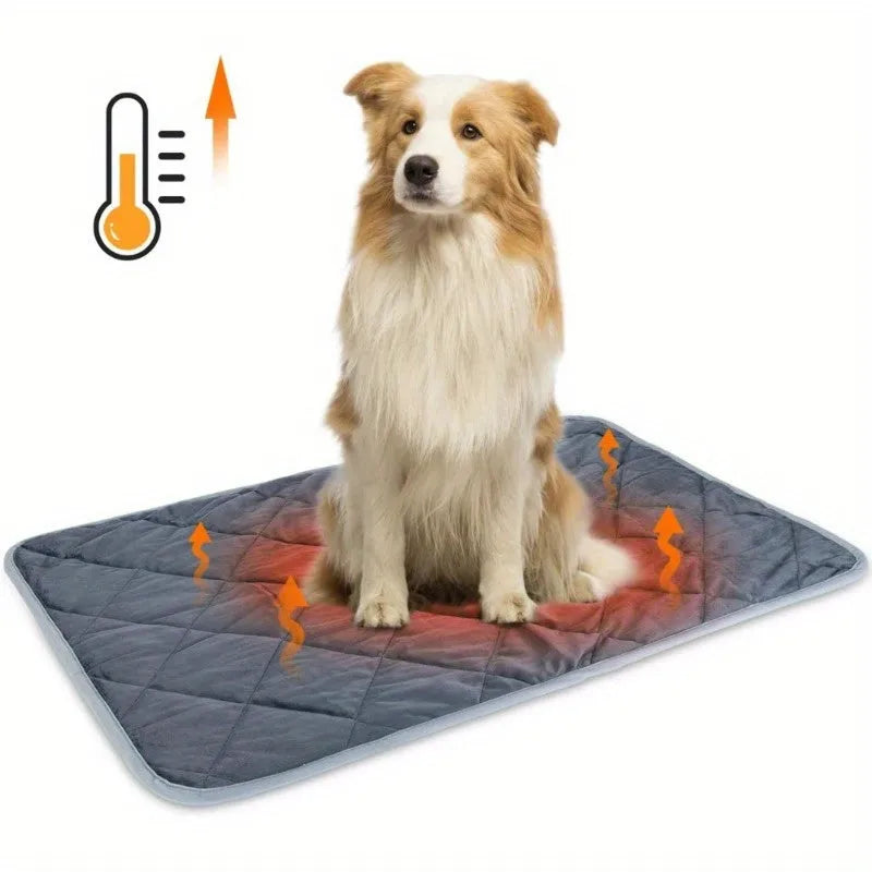 Self-warming cat bed emitting heat, keeping a dog warm and cozy during colder months.