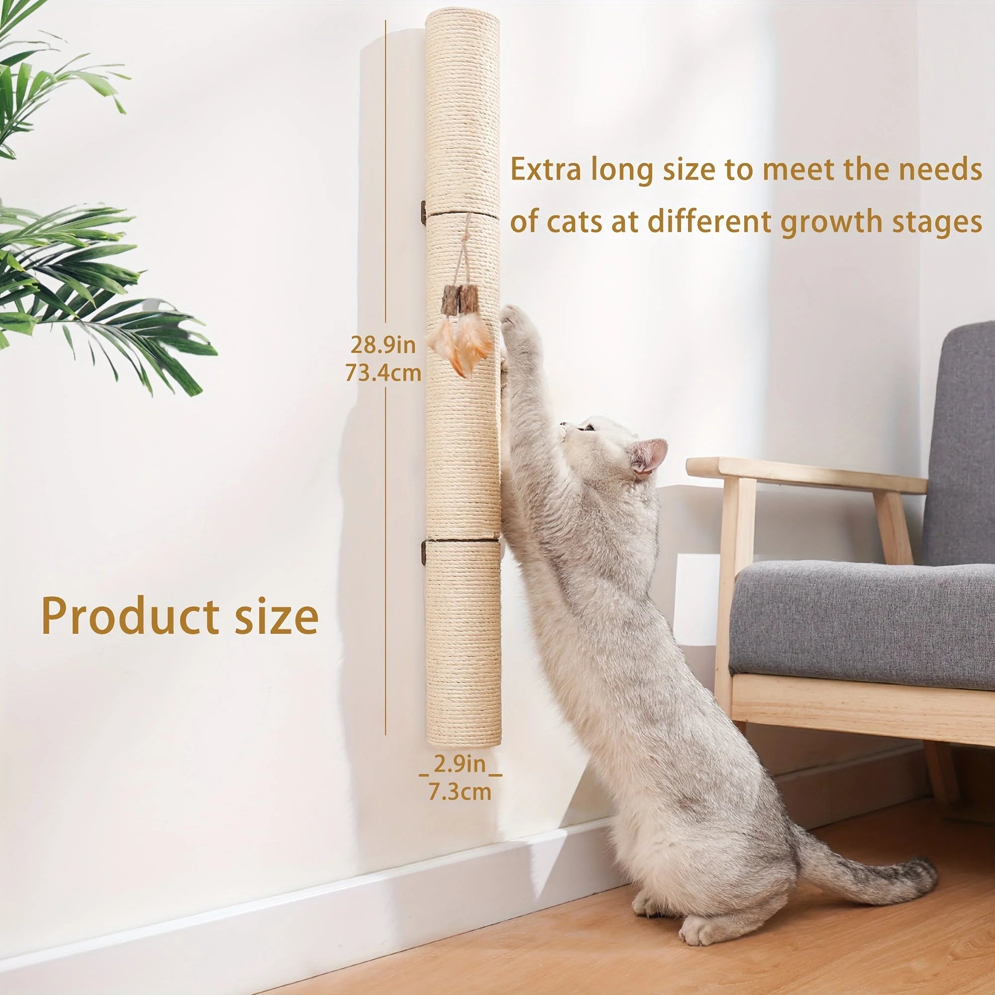 Cat stretching to play with feathers on an extra-long wall mounted scratching post designed for various growth stages.