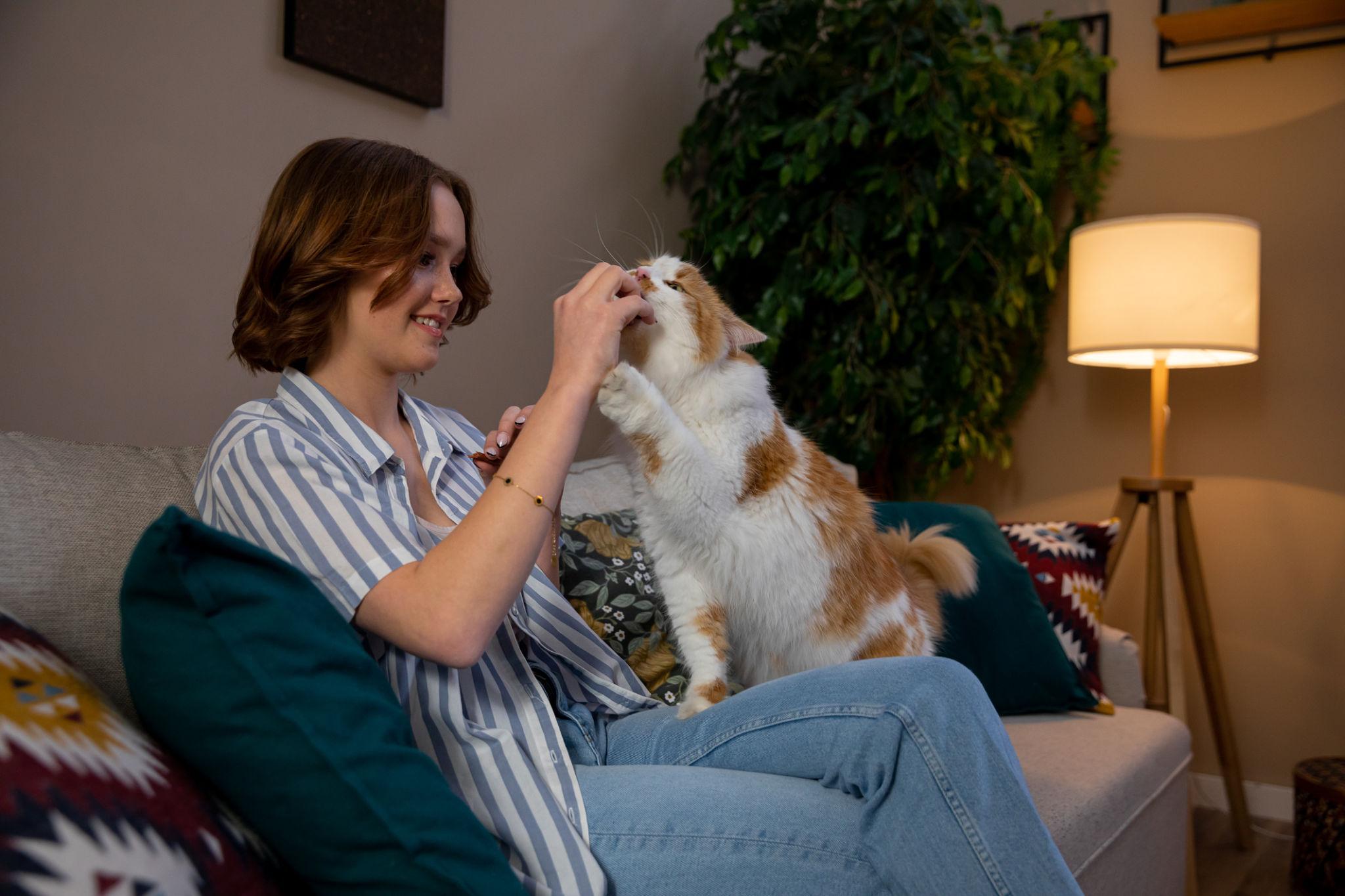Do Cats Love Their Owners? Understanding Feline Affection
