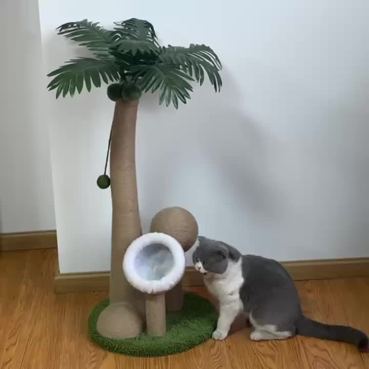 best cat scratching post