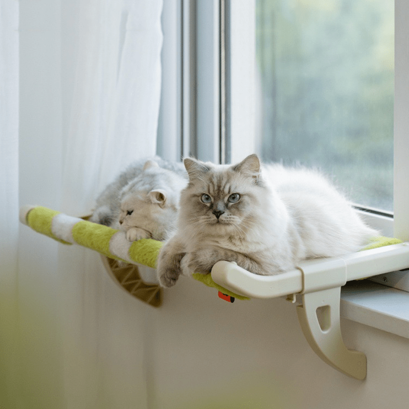 Window Bed for Cats - Cozy & Comfortable Indoor Cat Hammock