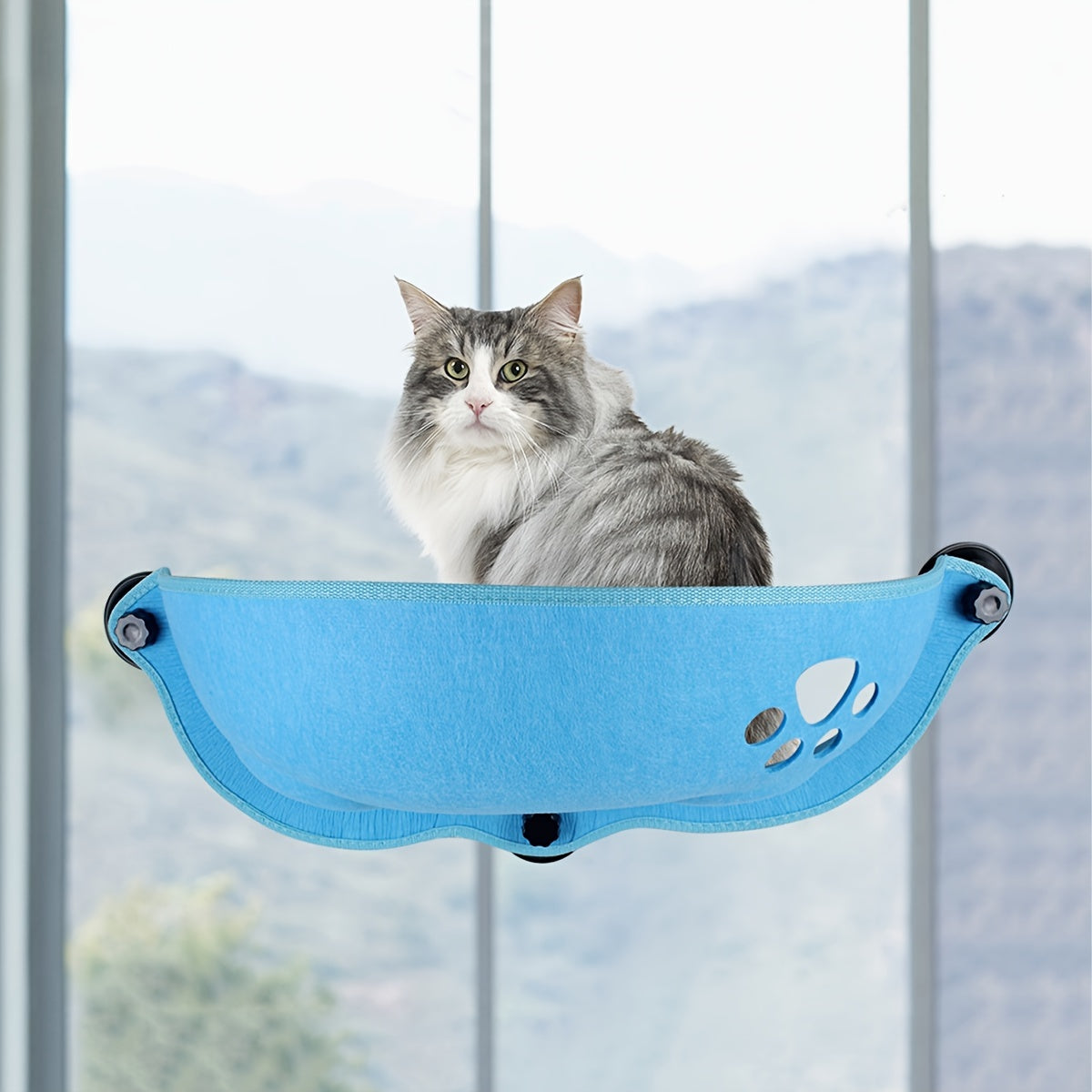 Kitty Sunbather - The Ultimate Window Perch for Cats to Lounge!