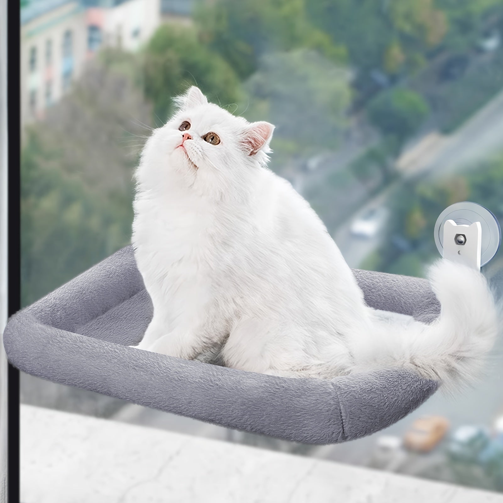 Best Cat Window Perch - Cordless & Durable with Strong Suction Cups