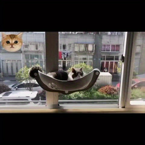 Kitty Sunbather - The Ultimate Window Perch for Cats to Lounge!