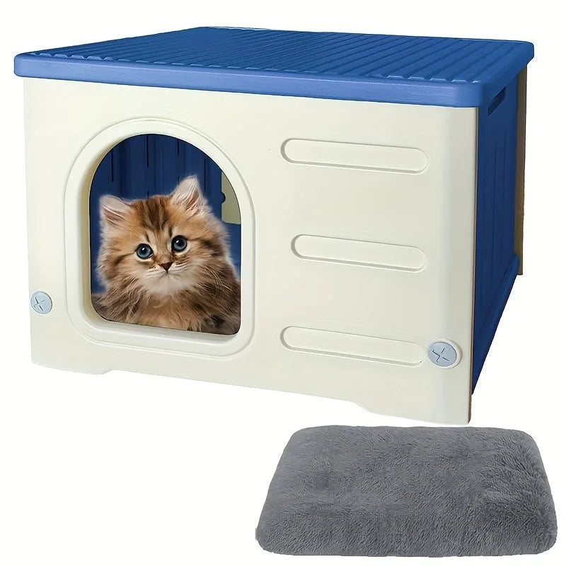 Blue plastic cat house with a kitten inside and a gray cushion