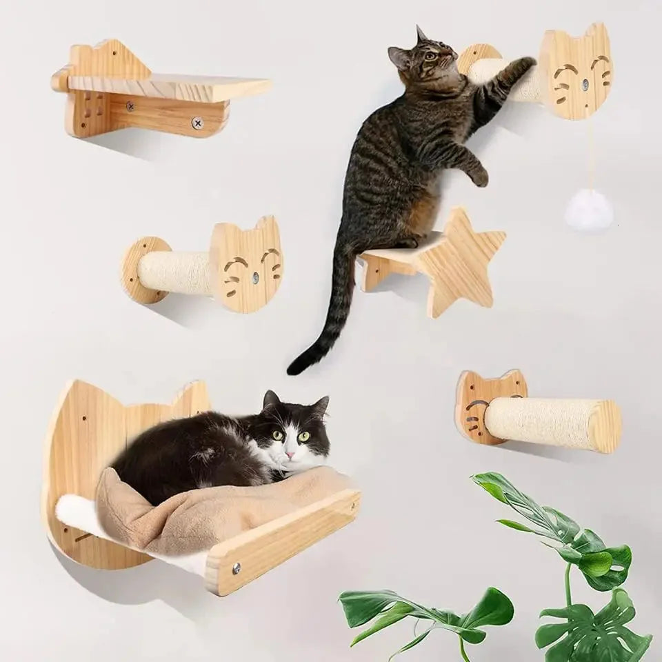 Cat Climbing Walls