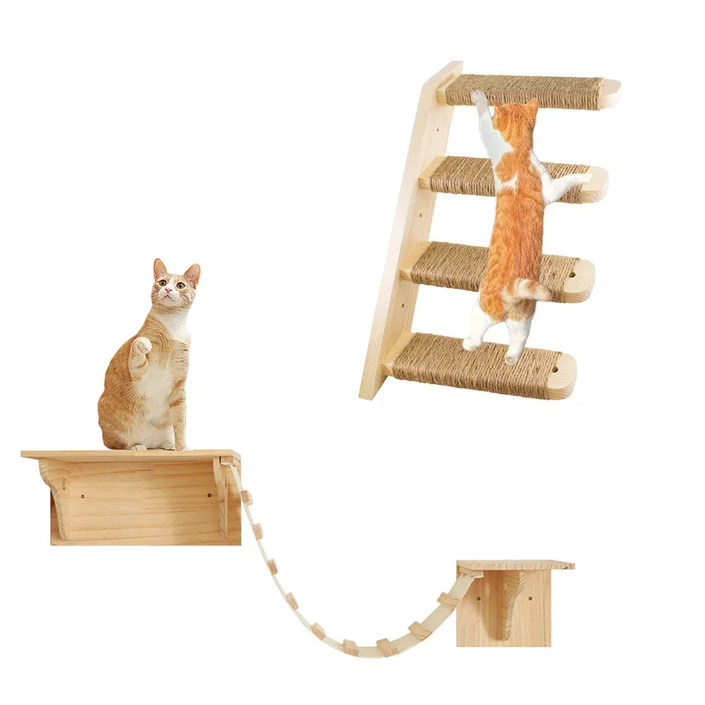 Cat Climbing Walls