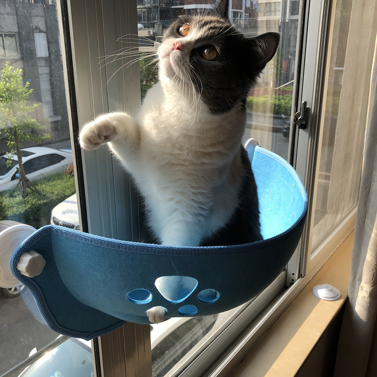 Kitty Sunbather - The Ultimate Window Perch for Cats to Lounge!