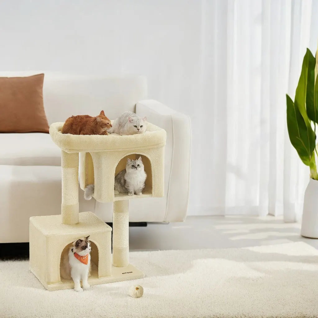 Cat Condos For Big Cats