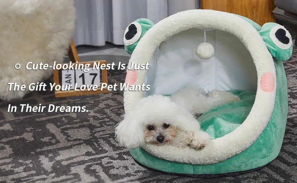 A fluffy dog resting in green frog-themed best bedding for cats, labeled as the perfect dream gift