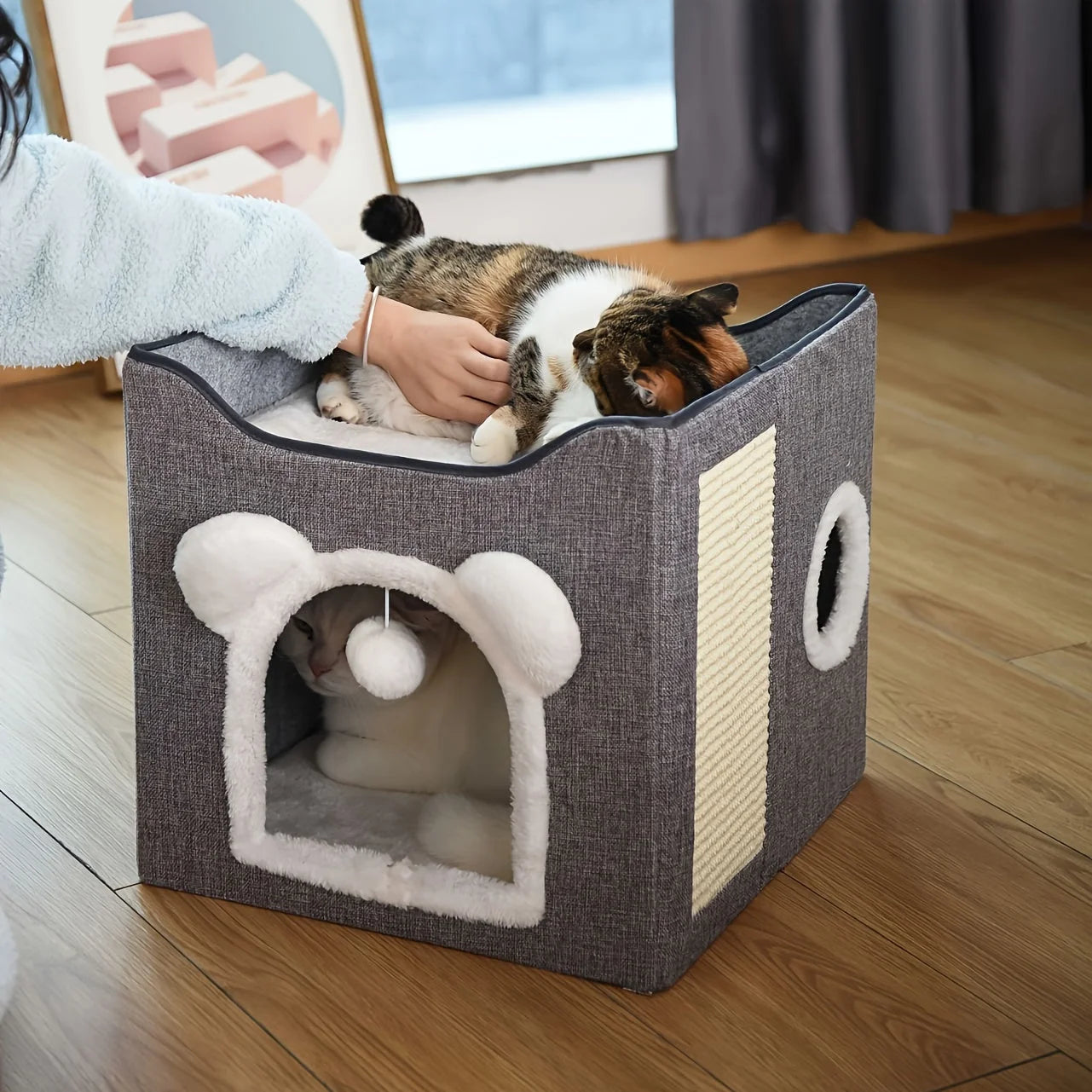 Two cats relaxing in a cozy and sturdy best outdoor cat house with a padded top and scratchable side