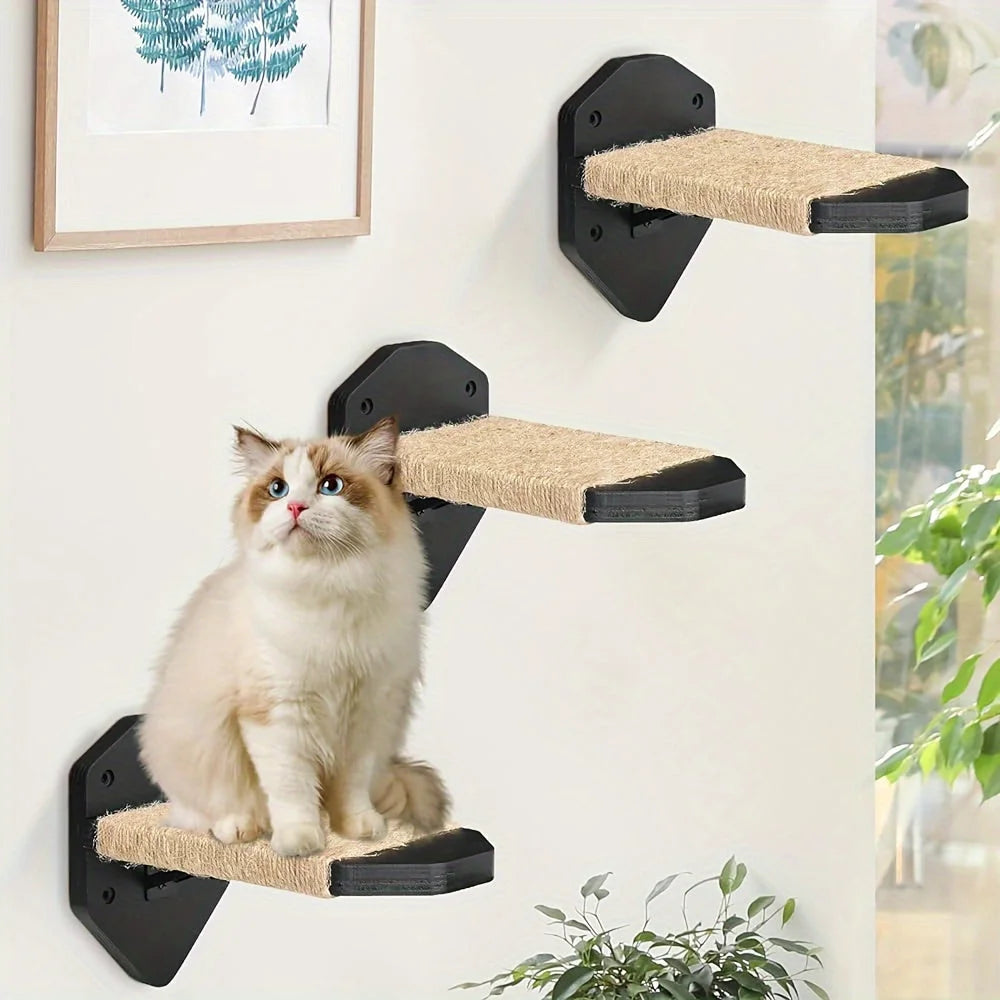 Cat Wall Climbing Systems