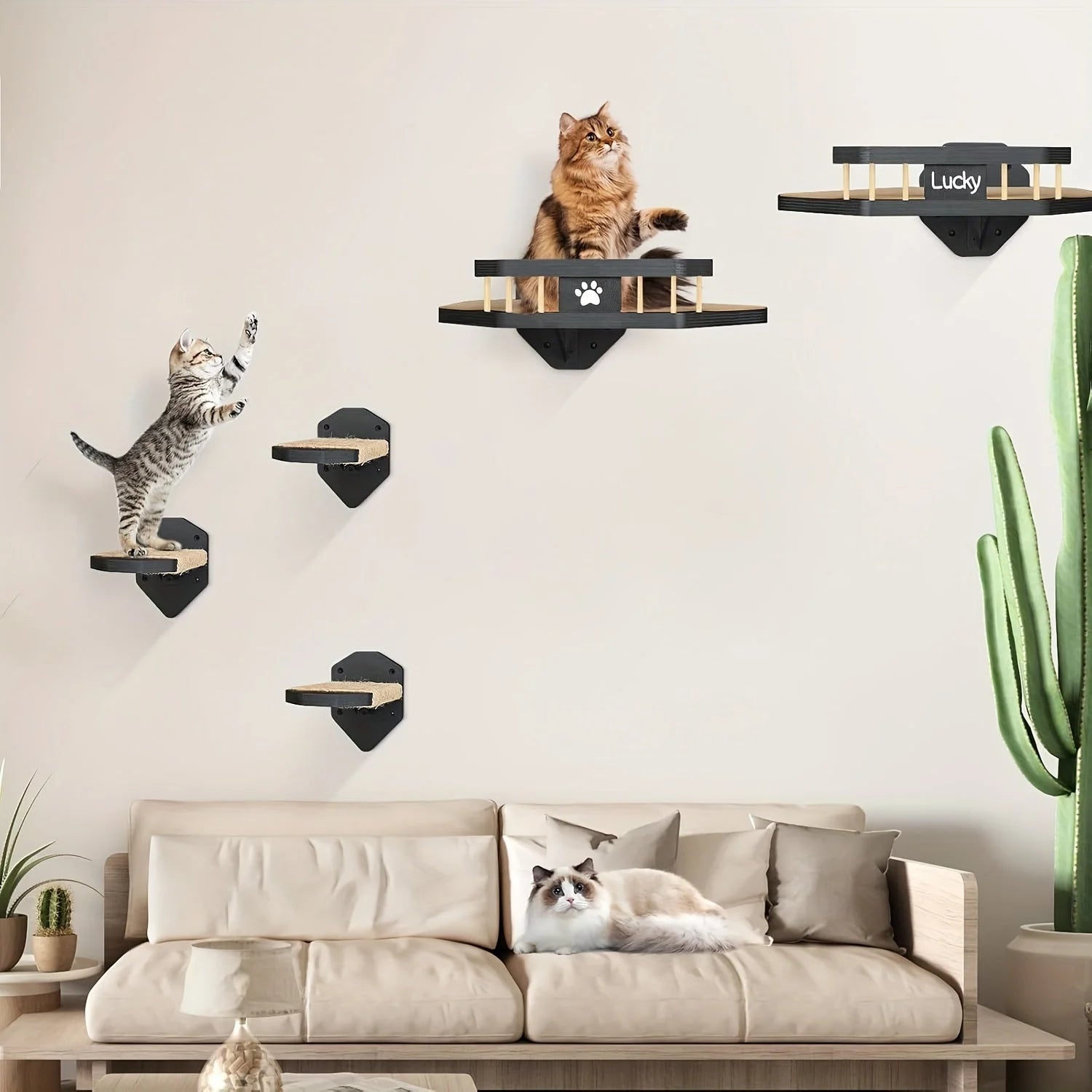 Cat Wall Climbing Systems