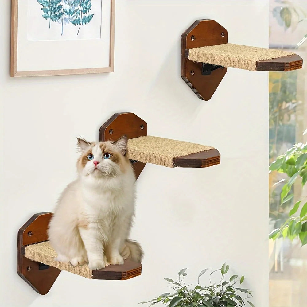 Cat Wall Climbing Systems